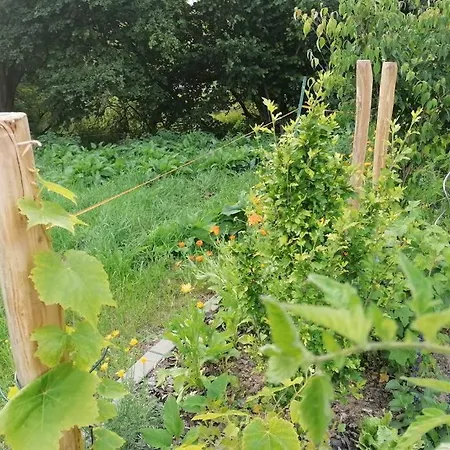 Hinterland Apartment *