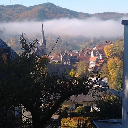 Hinterland Apartment