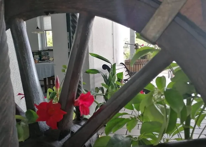 Appartement Hinterland Biedenkopf