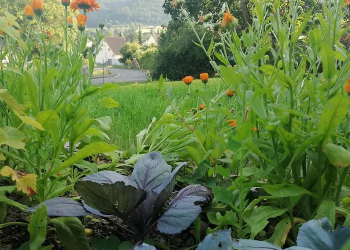 Appartement Hinterland